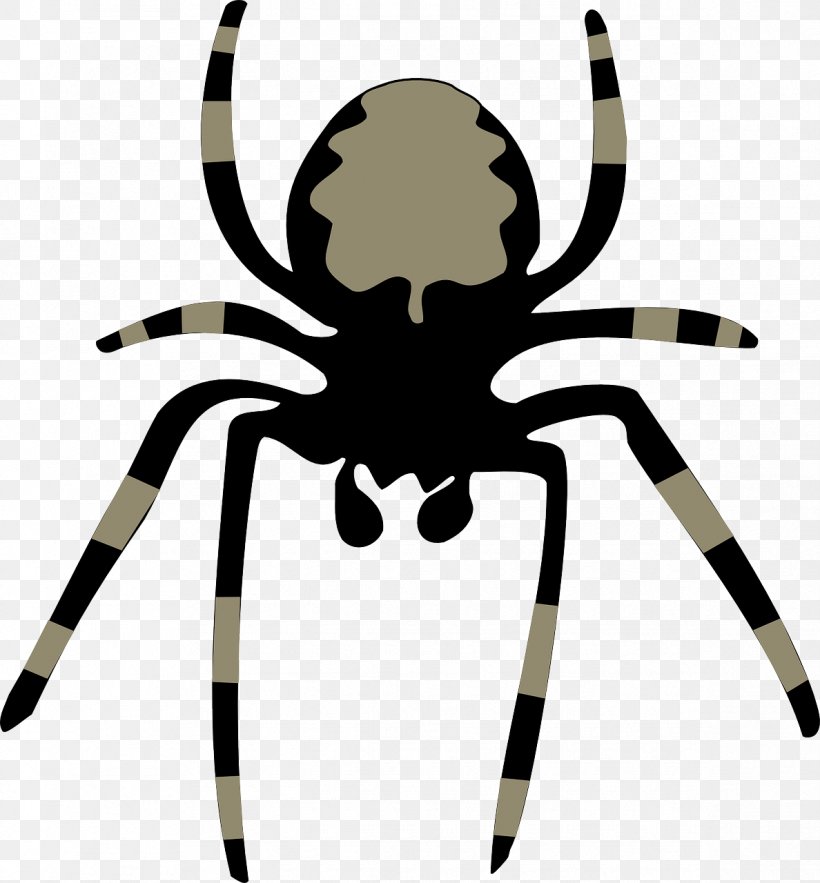 Spider Download Clip Art, PNG, 1188x1280px, Spider, Arachnid, Arthropod, Artwork, Blog Download Free