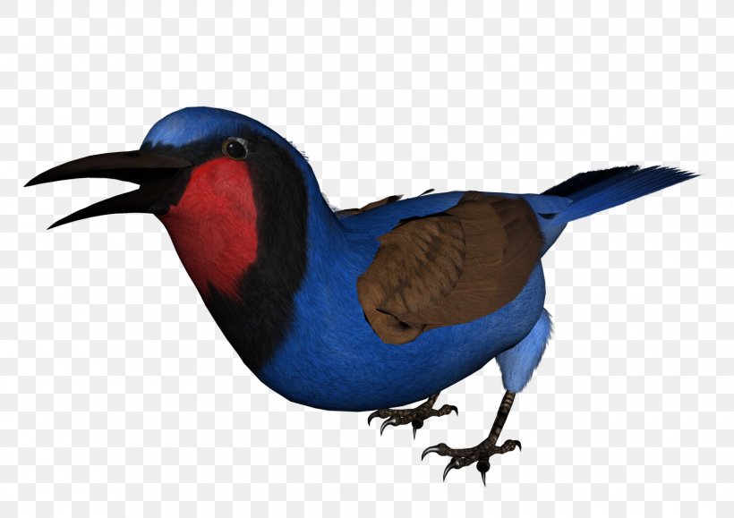 Bird Bee-eater Beak Clip Art, PNG, 1600x1131px, Bird, Animal, Beak, Bee, Beeeater Download Free