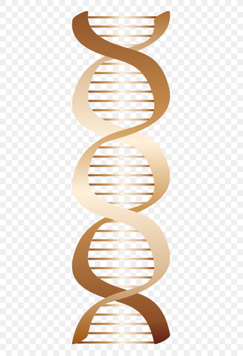 DNA Nucleic Acid Clip Art, PNG, 417x1200px, Dna, Beige, Biology, Cell, Chromosome Download Free