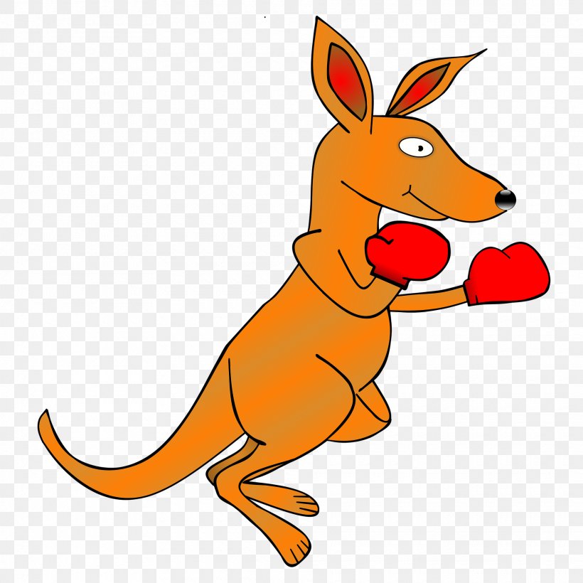 Kangaroo Desktop Wallpaper Clip Art, PNG, 1920x1920px, Kangaroo, Animal Figure, Artwork, Boxing, Boxing Glove Download Free