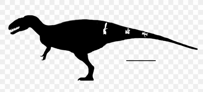 Veterupristisaurus Eocarcharia Tendaguru Formation Acrocanthosaurus Vertebrate, PNG, 5500x2500px, Veterupristisaurus, Acrocanthosaurus, Beak, Black And White, Bone Download Free