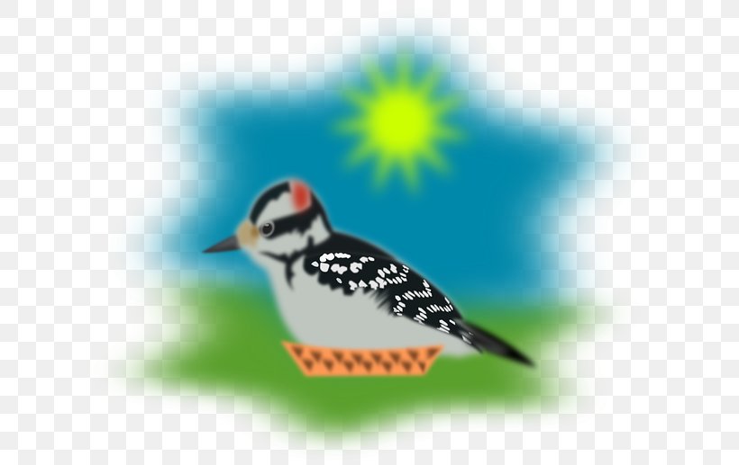 Sparrow Bird Picus Clip Art, PNG, 640x517px, Sparrow, Beak, Bird, Fauna, Organism Download Free
