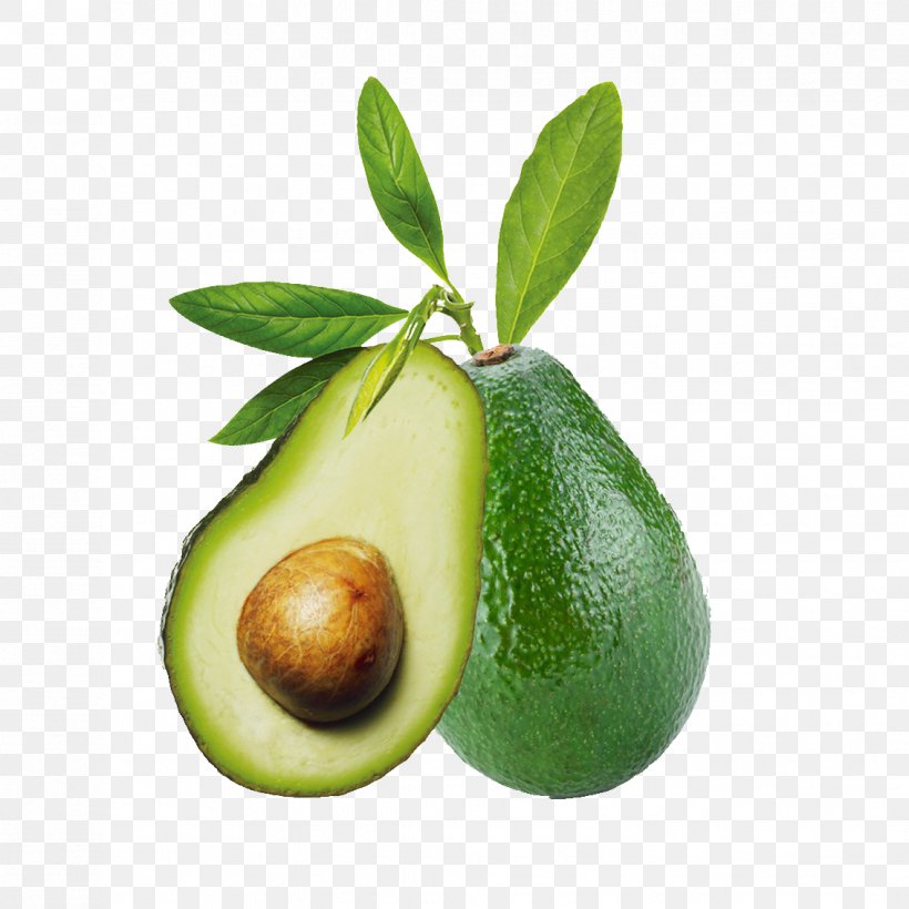 Avocado Extract Fruit Seed Skin Care, PNG, 1134x1134px, Avocado, Asu, Avocado Extract, Citrus, Extract Download Free
