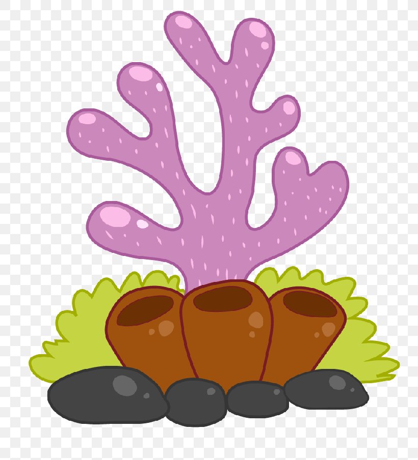 Clip Art Image Cartoon Coral Drawing, PNG, 800x904px, Cartoon, Animation, Can Stock Photo, Coral, Coral Reef Download Free