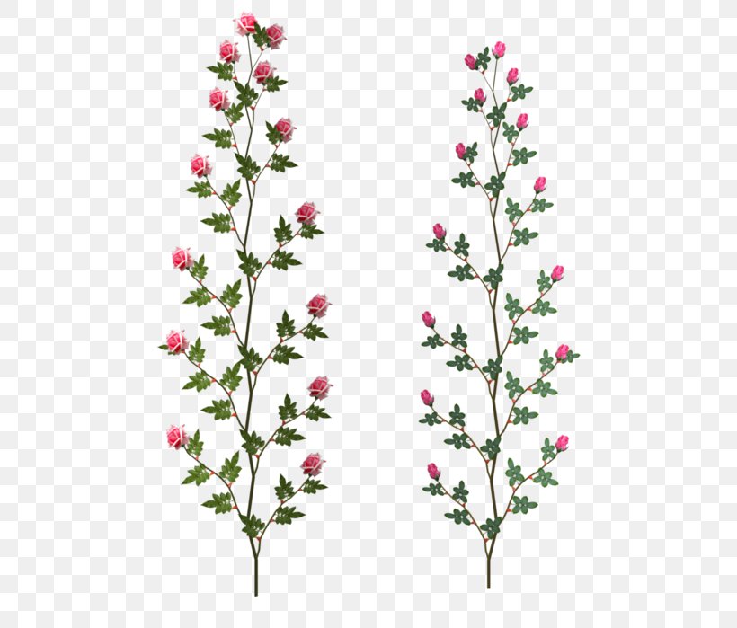 Cut Flowers Floral Design Petal, PNG, 540x699px, 2018, Cut Flowers, Branch, Collage, Directory Download Free