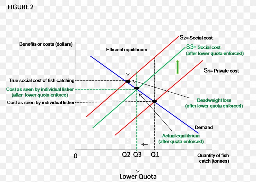 Import Quota Economic Equilibrium Supply And Demand Efficiency, PNG, 1361x967px, Import Quota, Area, Deadweight Loss, Demand, Demand Curve Download Free