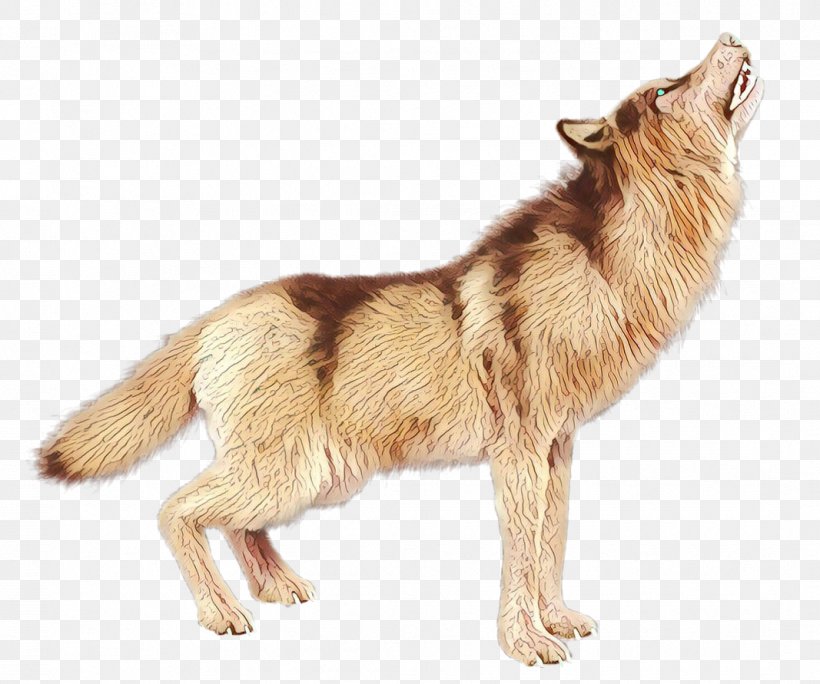 Wolf Cartoon, PNG, 1067x891px, Red Fox, Alaskan Tundra Wolf, Animal Figure, Canis, Coyote Download Free