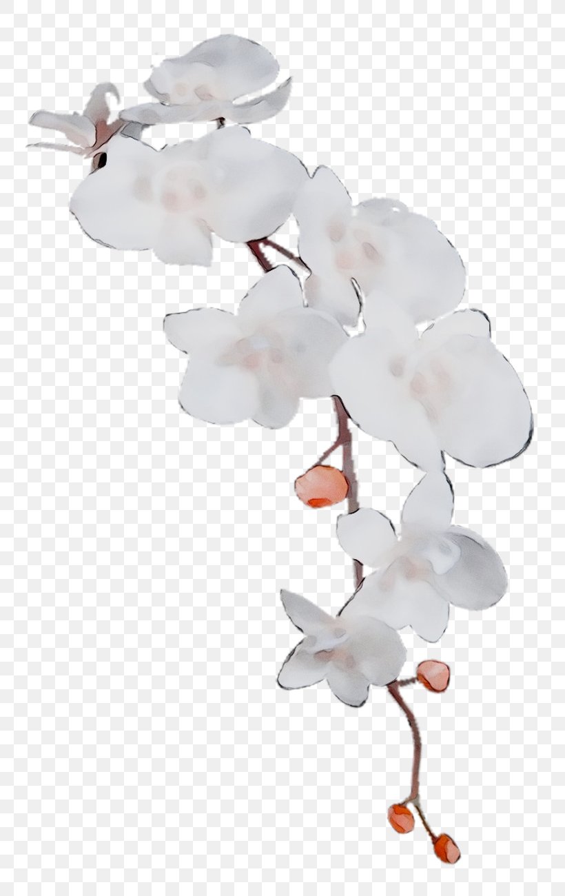 Moth Orchids ST.AU.150 MIN.V.UNC.NR AD Product Cherry Blossom, PNG, 813x1300px, Moth Orchids, Baby Toys, Blossom, Branch, Branching Download Free