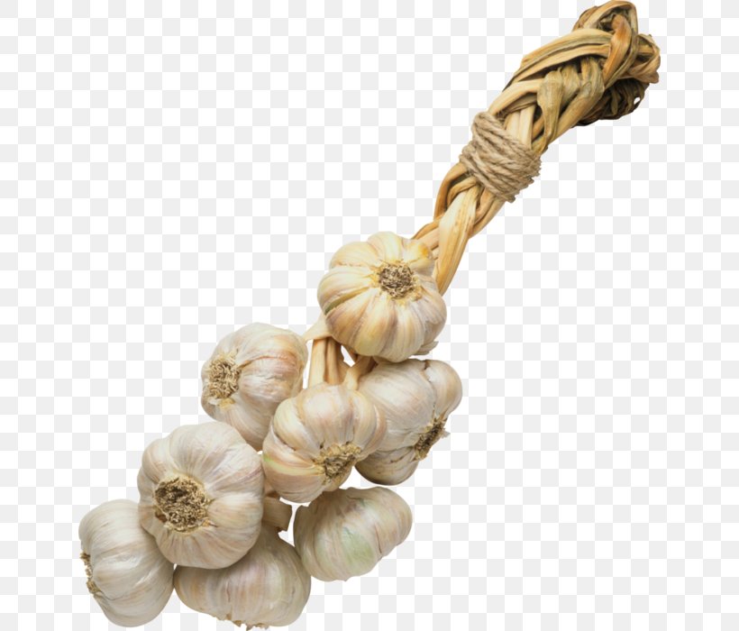 Garlic Ristra De Ajos Vegetable Spice, PNG, 646x700px, Garlic, Condiment, Food, Fruit, Ingredient Download Free