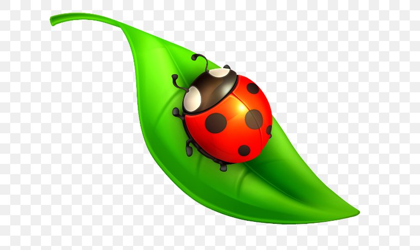 Ladybird Beetle Insect Drawing Clip Art, PNG, 650x488px, Ladybird Beetle, Beetle, Child, Drawing, Fishpond Limited Download Free