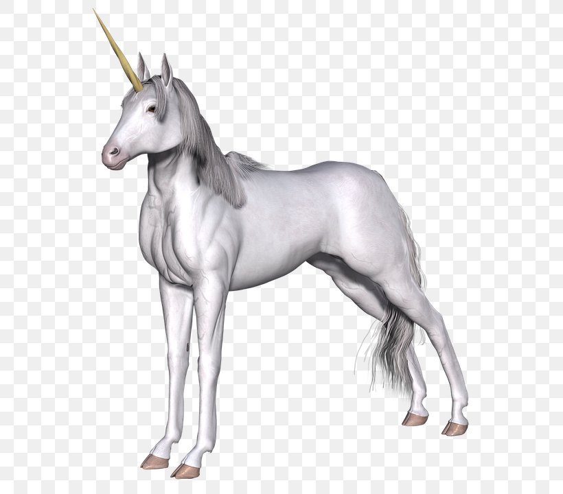 Unicorn Clip Art Legendary Creature Image, PNG, 637x720px, Unicorn, Colt, Fairy, Fairy Tale, Fictional Character Download Free