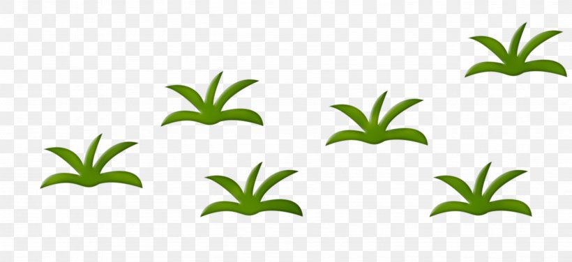 Herbaceous Plant Drawing Animation Clip Art, PNG, 3552x1632px, Herbaceous Plant, Animation, Artwork, Domestic Animal, Drawing Download Free