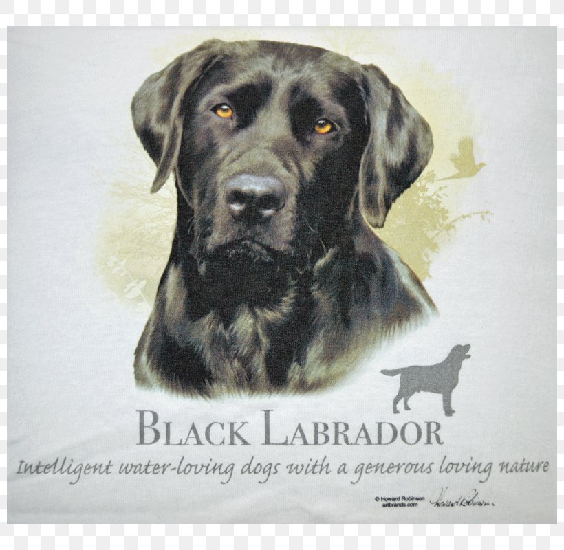 Labrador Retriever Puppy Boston Terrier German Shepherd T-shirt, PNG, 800x800px, Labrador Retriever, Animal, Bluza, Boston Terrier, Breed Download Free