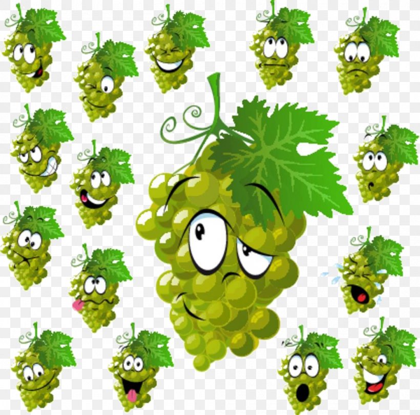 Wine Common Grape Vine Clip Art, PNG, 1000x988px, Wine, Cartoon, Common Grape Vine, Fictional Character, Flora Download Free