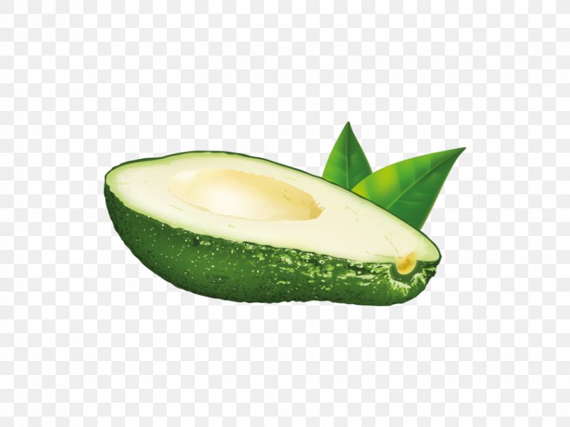 Avocado Vector Graphics Illustration Image, PNG, 866x650px, Avocado, Depositphotos, Drawing, Food, Fruit Download Free