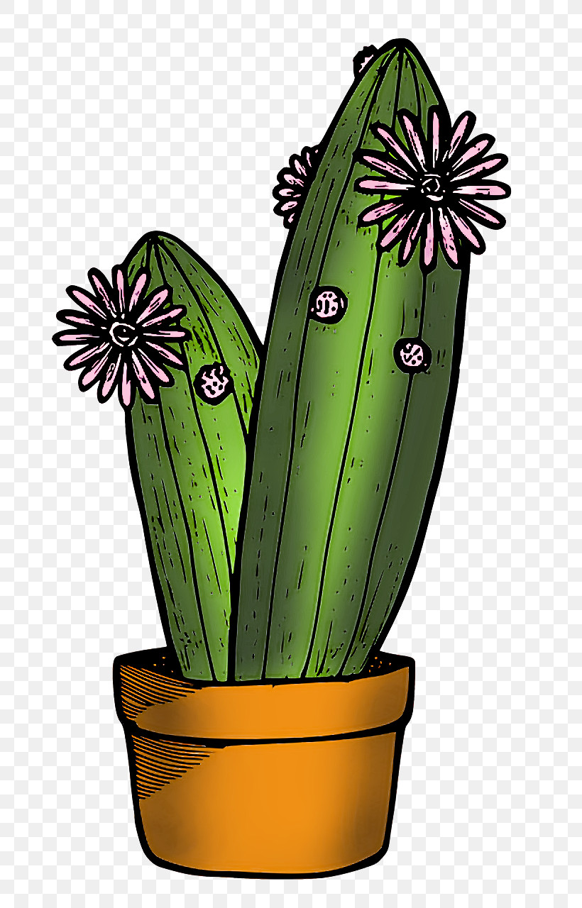Cactus, PNG, 792x1280px, Flower, Biology, Cactus, Caryophyllales, Echinocereus Download Free