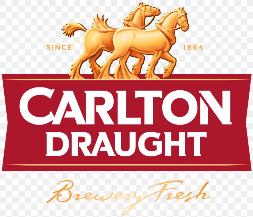 Carlton Draught Carlton & United Breweries Beer Foster's Group Lager, PNG, 898x771px, Carlton Draught, Alcoholic Drink, Area, Beer, Beer Brewing Grains Malts Download Free