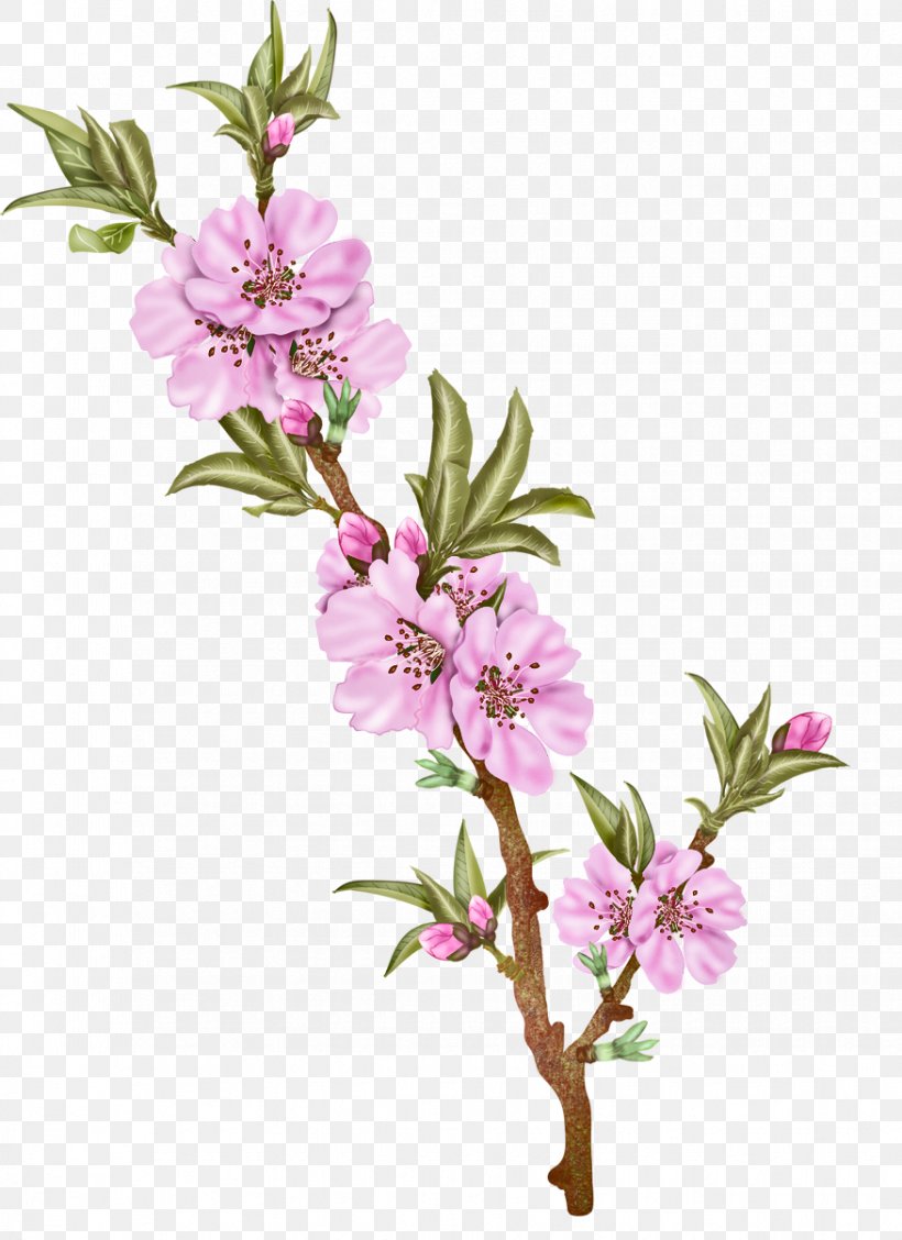 Cut Flowers Floral Design Plant Stem, PNG, 876x1206px, Flower, Blossom, Branch, Cherry Blossom, Cut Flowers Download Free