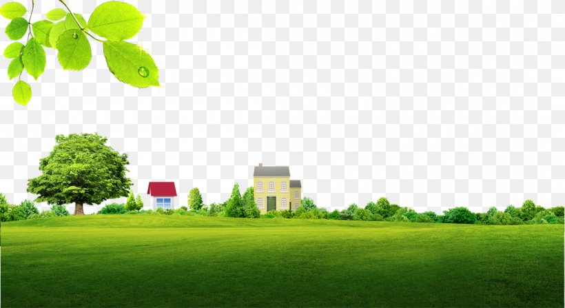Green Wallpaper, PNG, 1100x600px, Green, Architecture, Brand, Daytime, Energy Download Free