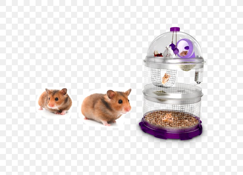 Hamster Cage Gerbil Hamster Cage Roborovski Hamster, PNG, 591x591px, Hamster, Bio Bubble Pets, Birdcage, Cage, Djungarian Hamster Download Free