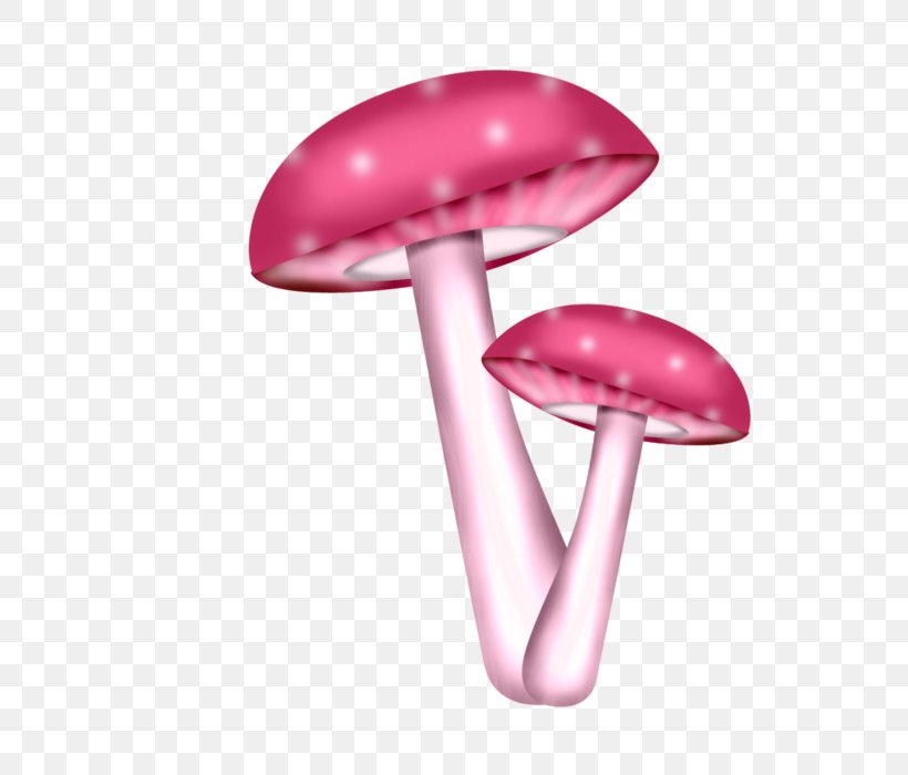 Mushroom, PNG, 700x700px, Mushroom, Adobe Flash Player, Agaricus Campestris, Cartoon, Drawing Download Free