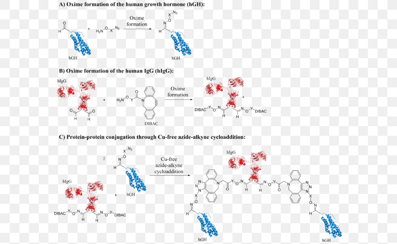 Aldehyde Tag Click Chemistry Protein Bioorthogonal Chemistry, PNG, 600x503px, Aldehyde Tag, Aldehyde, Antibody, Area, Azide Download Free