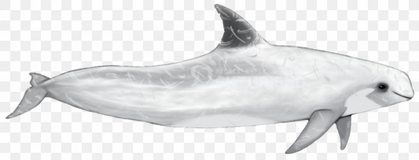 Common Bottlenose Dolphin Short-beaked Common Dolphin Tucuxi Rough-toothed Dolphin Spinner Dolphin, PNG, 940x360px, Common Bottlenose Dolphin, Animal, Animal Figure, Biology, Black And White Download Free