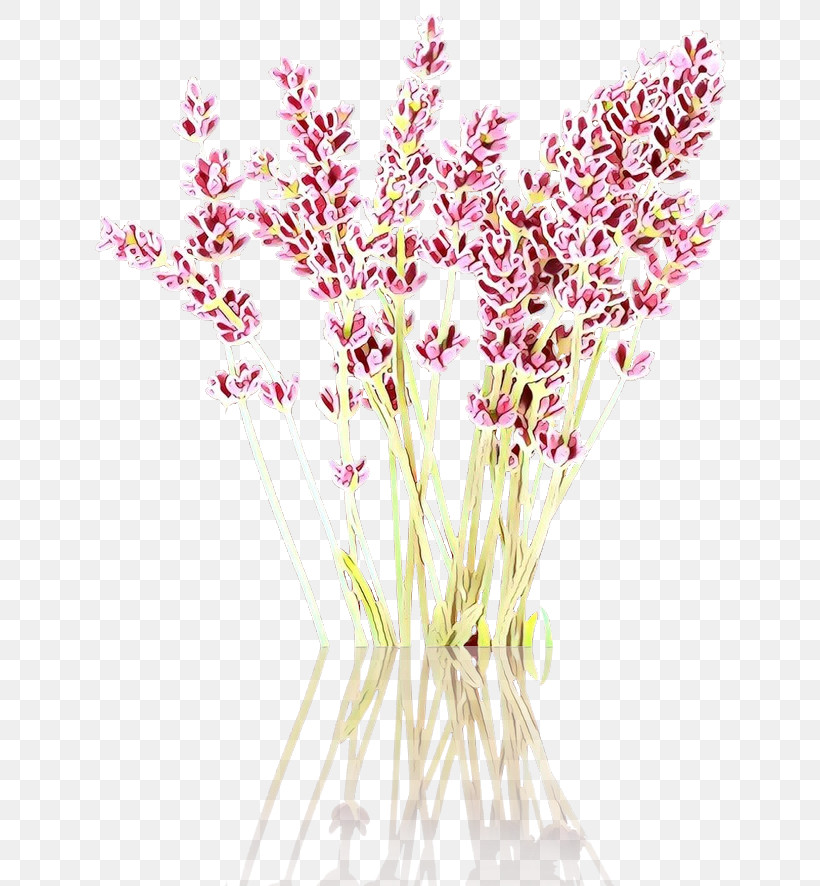 Flower Plant Cut Flowers Pink Grass, PNG, 700x886px, Flower, Cut Flowers, Grass, Pedicel, Pink Download Free