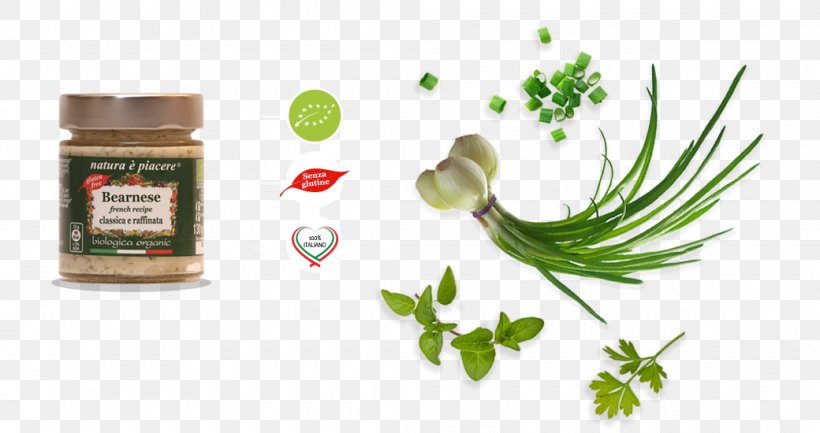 Herbalism Alternative Health Services Medicine Food, PNG, 1040x550px, Herb, Alternative Health Services, Food, Herbal, Herbalism Download Free