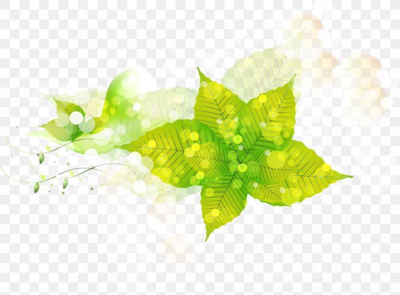 Light Flower Euclidean Vector Petal, PNG, 824x609px, Light, Designer, Flower, Grass, Green Download Free