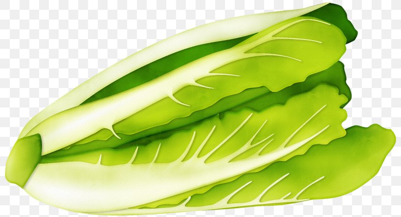 Napa Cabbage Romaine Lettuce Vegetable, PNG, 2050x1110px, Cabbage, Brassica Oleracea, Chinese Cabbage, Food, Gratis Download Free