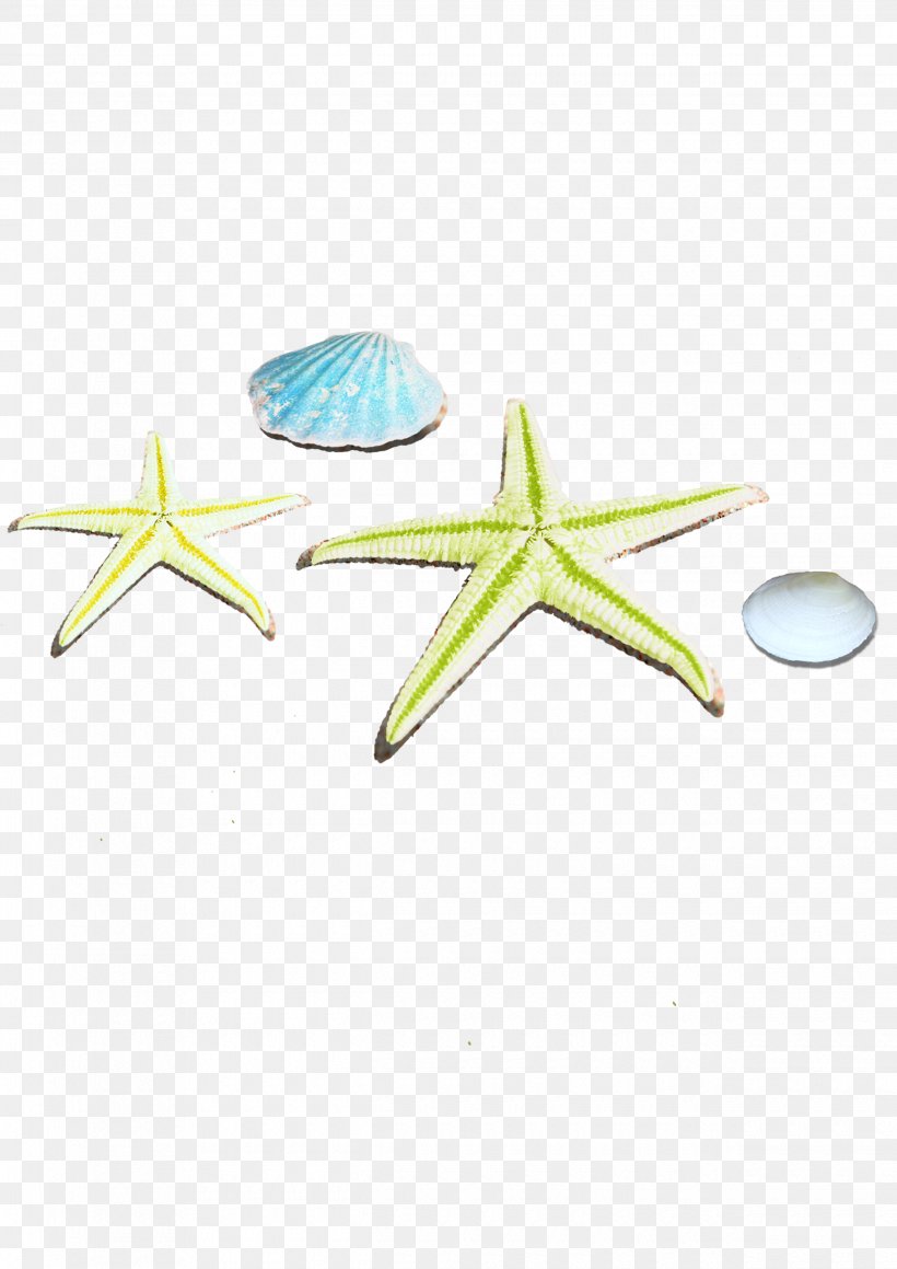 Starfish, PNG, 2480x3508px, Starfish, Aqua, Beach, Echinoderm, Green Download Free