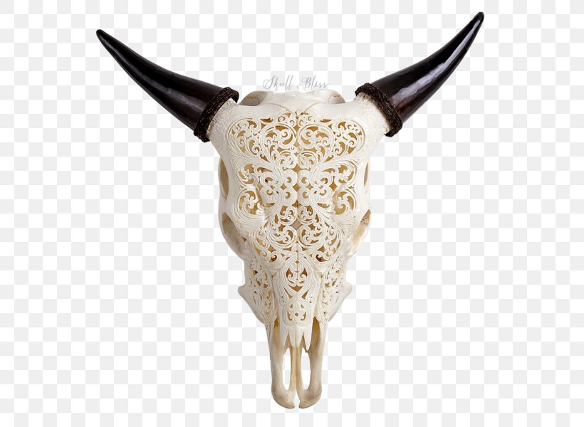 Texas Longhorn Skull English Longhorn Ox, PNG, 600x600px, Texas Longhorn, Animal, Animal Skulls, Bali Cattle, Banteng Download Free