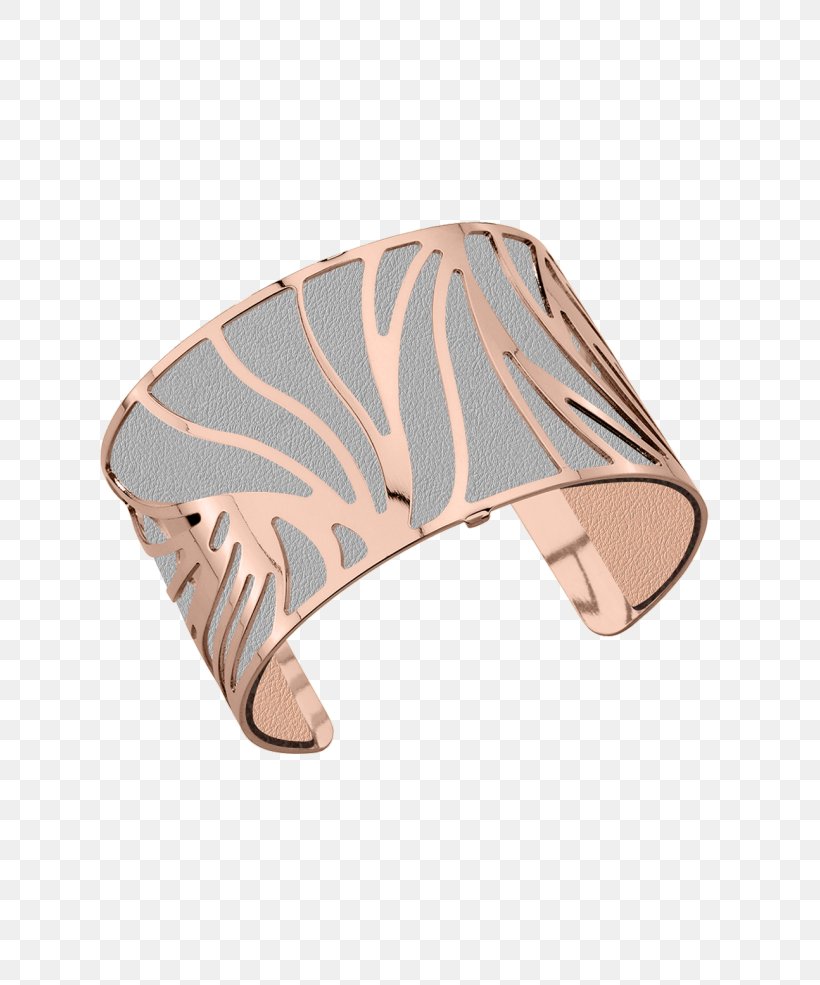 Bracelet Jewellery Earring Bijou Cuff, PNG, 760x985px, Bracelet, Bangle, Bijou, Charm Bracelet, Clothing Accessories Download Free