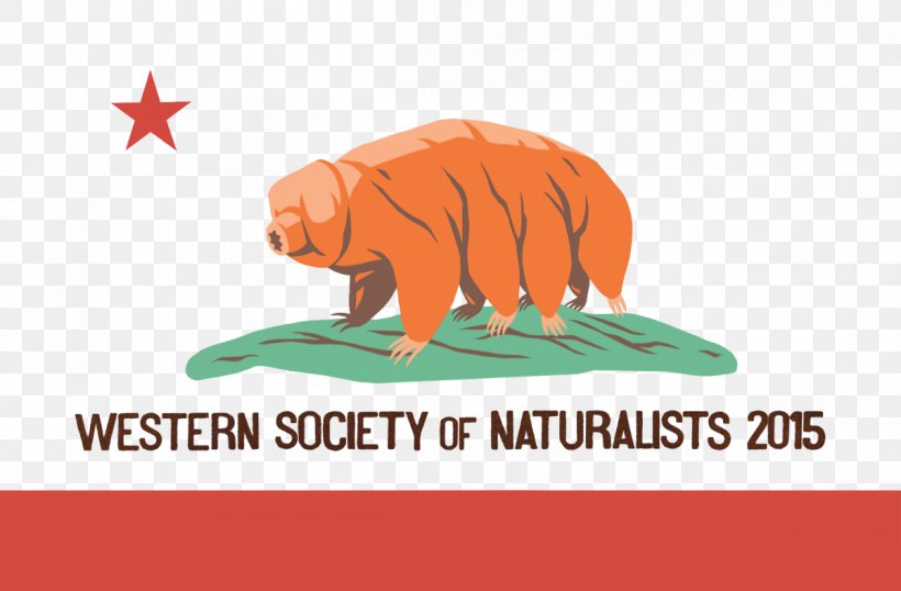 Flag Of California Refugio Oil Spill California Grizzly Bear, PNG, 1200x788px, Flag Of California, Bear, Brand, California, California Grizzly Bear Download Free