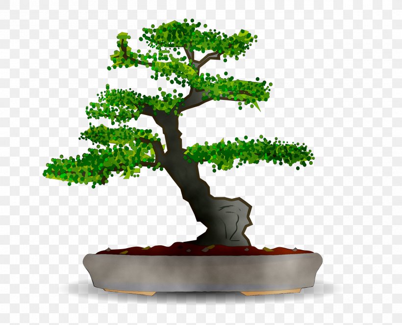 Greeting & Note Cards Product Paper Household Goods Stationery, PNG, 2400x1945px, Greeting Note Cards, American Larch, Birthday, Bonsai, Branch Download Free