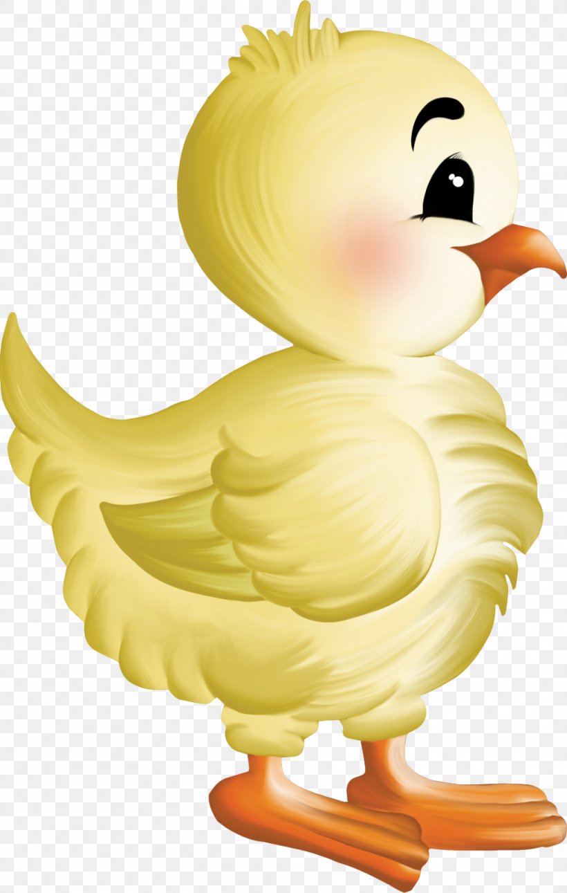Chicken Clip Art, PNG, 1013x1595px, Chicken, Animal, Beak, Bird, Blog Download Free