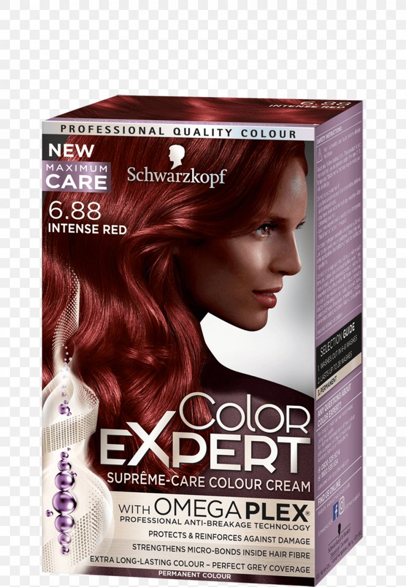 Hair Coloring Schwarzkopf Garnier, PNG, 970x1400px, Hair Coloring, Auburn  Hair, Beauty, Beauty Parlour, Brown Download Free