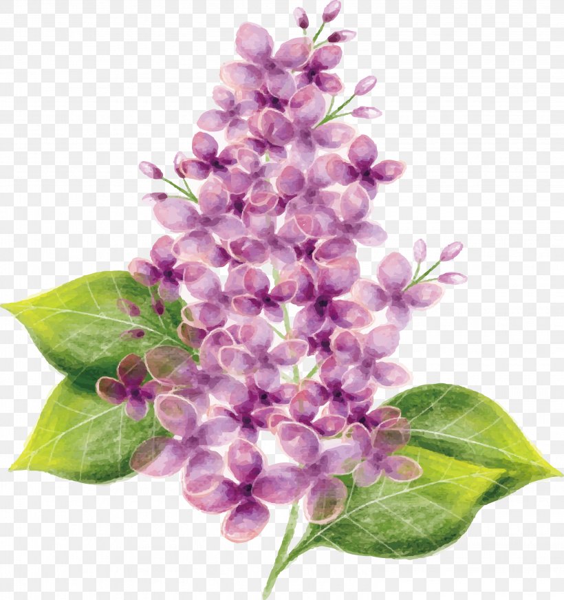 Purple Watercolor Painting, PNG, 3056x3253px, Purple, Branch, Cartoon, Cut Flowers, Floral Design Download Free