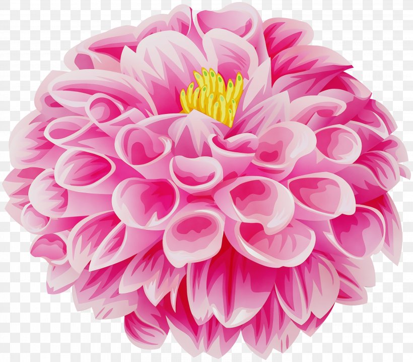 Watercolor Pink Flowers, PNG, 3000x2628px, Watercolor, Artificial Flower, Aster, Chrysanthemum, Cut Flowers Download Free