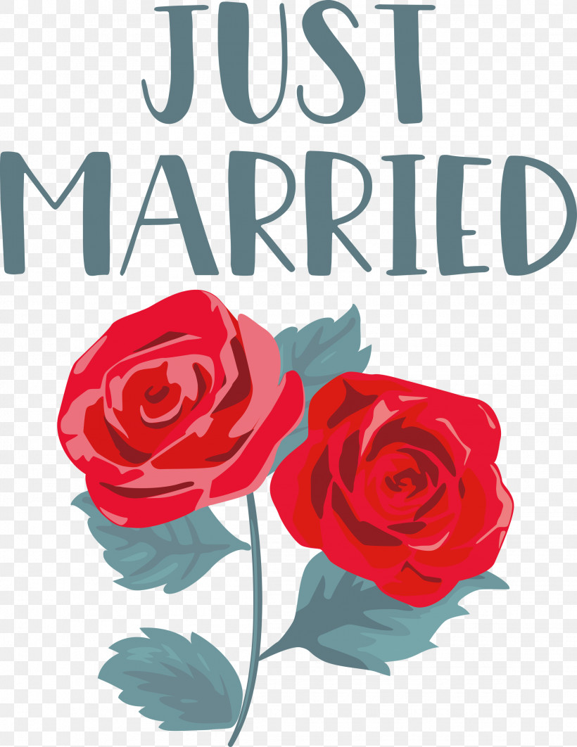 Just Married Wedding, PNG, 2316x3000px, Just Married, Cabbage Rose, Cut Flowers, Floral Design, Floribunda Download Free