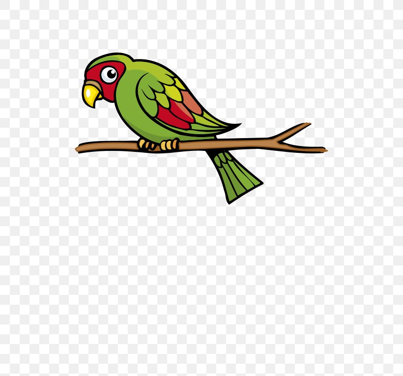 Budgerigar Parrot Bird Beak Macaw, PNG, 591x765px, Budgerigar, Artwork, Beak, Bird, Common Pet Parakeet Download Free
