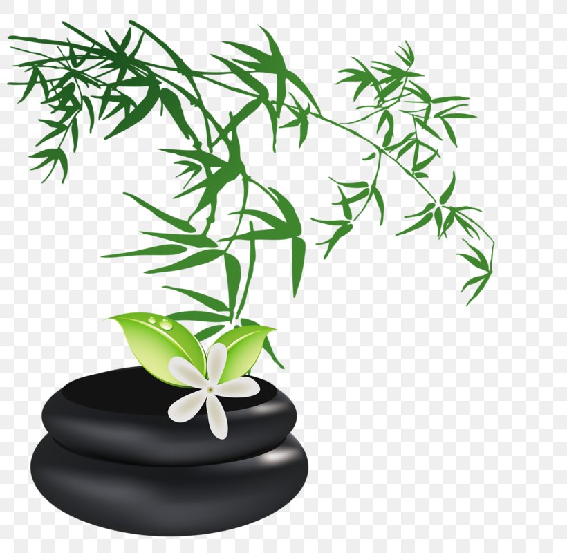 Drawing Bamboo, PNG, 800x800px, Drawing, Bamboo, Cartoon, Chinoiserie, Flowerpot Download Free