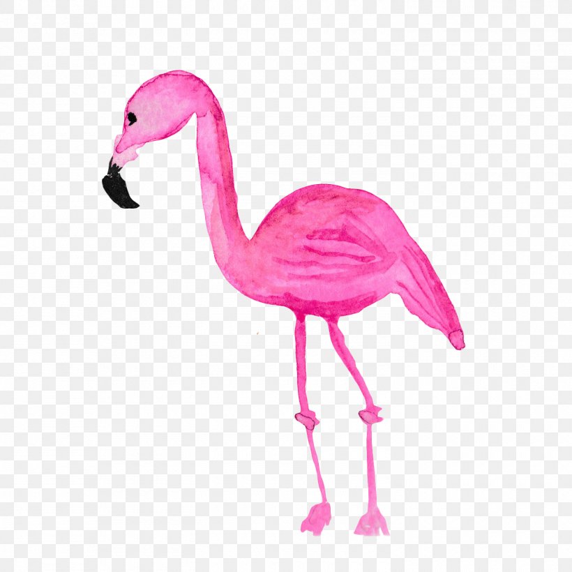 Flamingos Bird Common Ostrich, PNG, 1500x1500px, Flamingos, Beak, Bird, Common Ostrich, Drawing Download Free