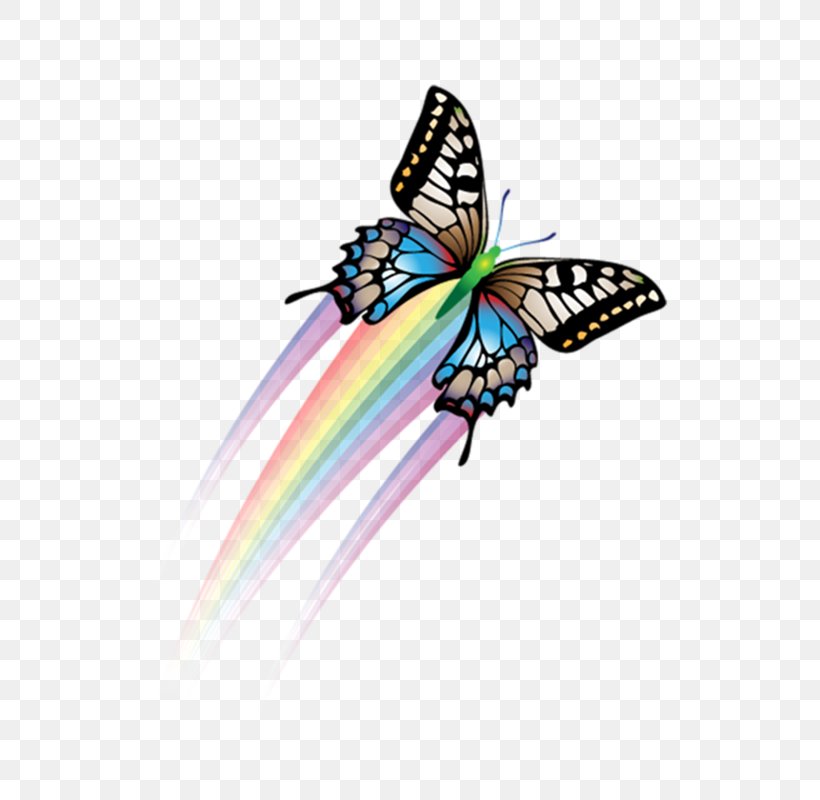 Butterfly Papillon Dog Software, PNG, 800x800px, Butterfly, Butterflies And Moths, Color, Insect, Invertebrate Download Free