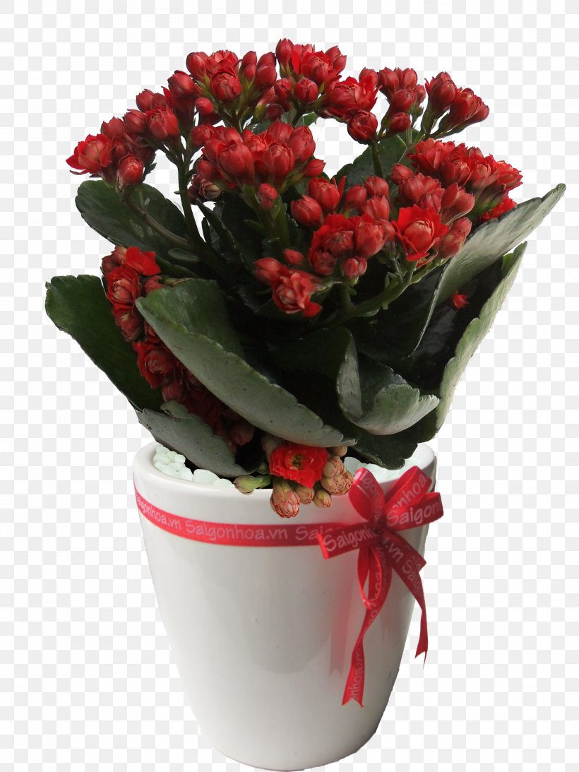 Floral Design Cut Flowers Flowerpot Flower Bouquet, PNG, 2112x2816px, Floral Design, Artificial Flower, Begonia, Cut Flowers, Floristry Download Free