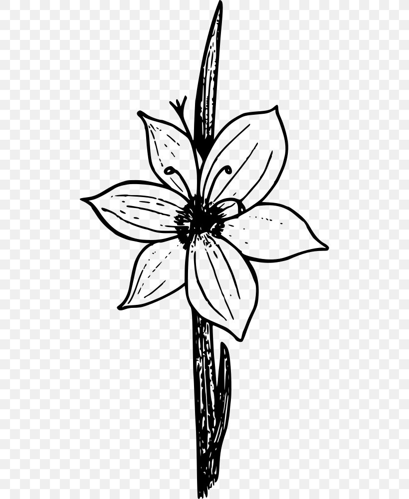 Flower Line Art, PNG, 500x1000px, Drawing, Blackandwhite, Coloring Book, Floral Design, Flower Download Free