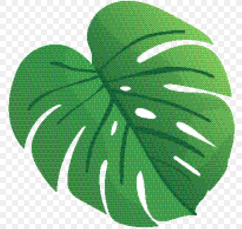 Green Leaf Logo, PNG, 786x777px, Leaf, Botany, Green, Logo, Monstera Deliciosa Download Free