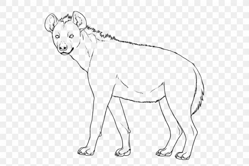 Lion Spotted Hyena Line Art Drawing, PNG, 1024x682px, Lion, Animal, Animal Figure, Artwork, Big Cats Download Free