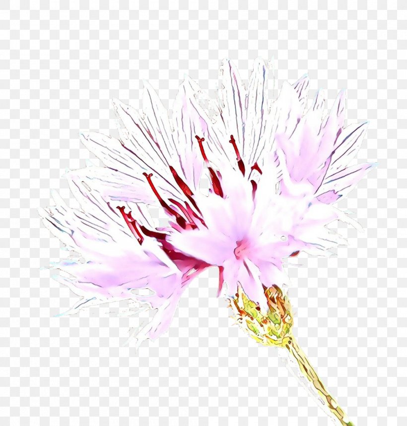 Pink Flower Cartoon, PNG, 1000x1048px, Petal, Branch, Family, Flower, Pink Download Free